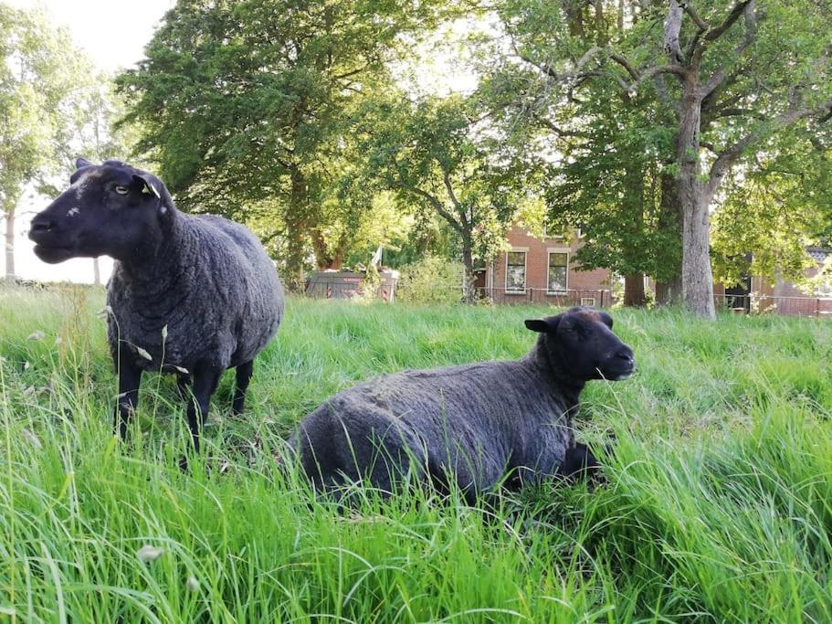 't Winkeltje - Vakantiehuisje op boerderij Huize Blokland Hem Buitenkant foto