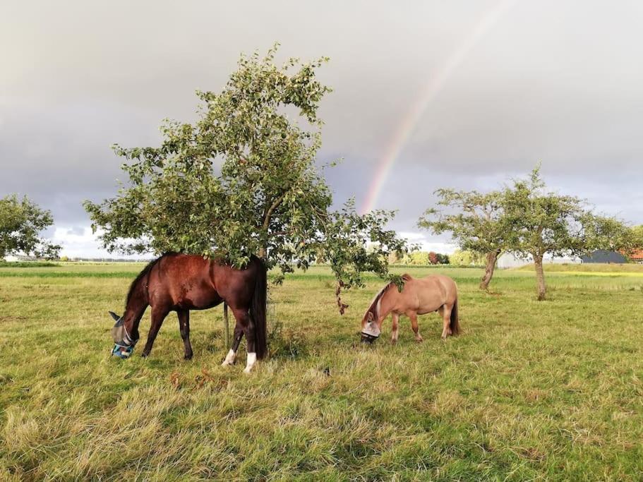 't Winkeltje - Vakantiehuisje op boerderij Huize Blokland Hem Buitenkant foto